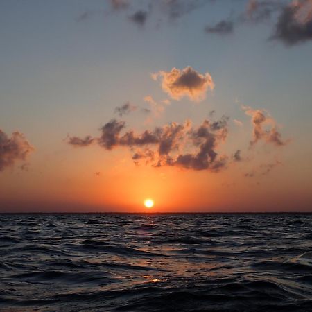 Ikarus Costa Mujeres Eco Lodge Sunset View Cancún Zewnętrze zdjęcie