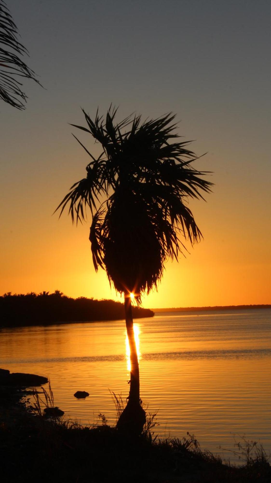 Ikarus Costa Mujeres Eco Lodge Sunset View Cancún Zewnętrze zdjęcie