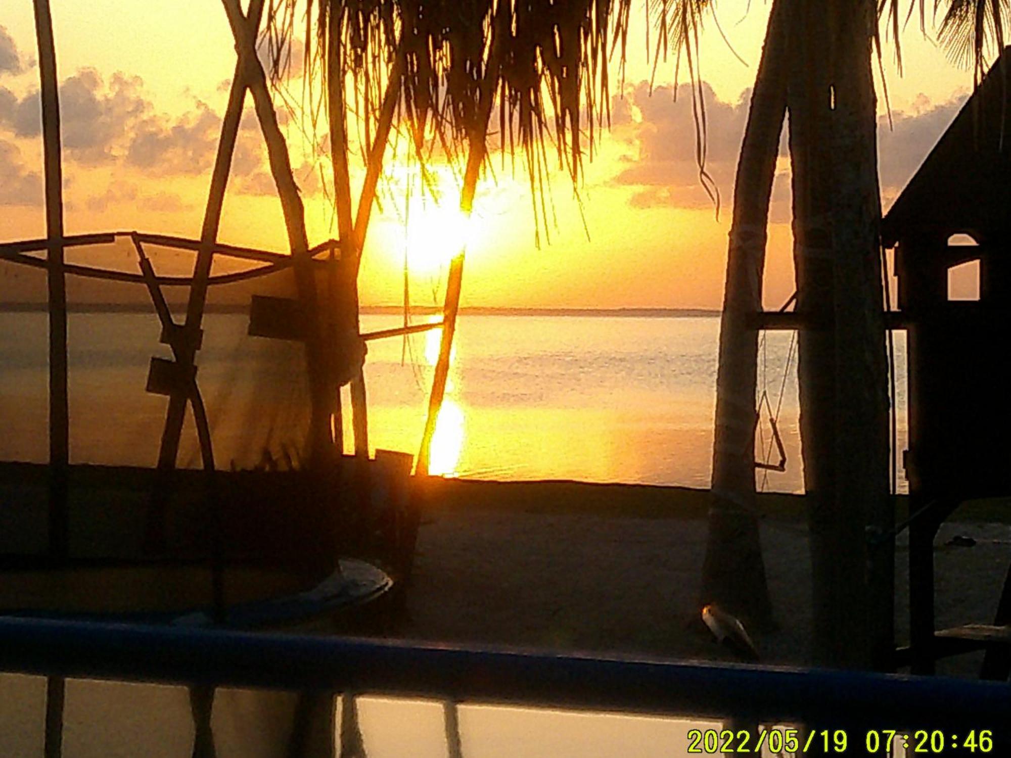 Ikarus Costa Mujeres Eco Lodge Sunset View Cancún Zewnętrze zdjęcie