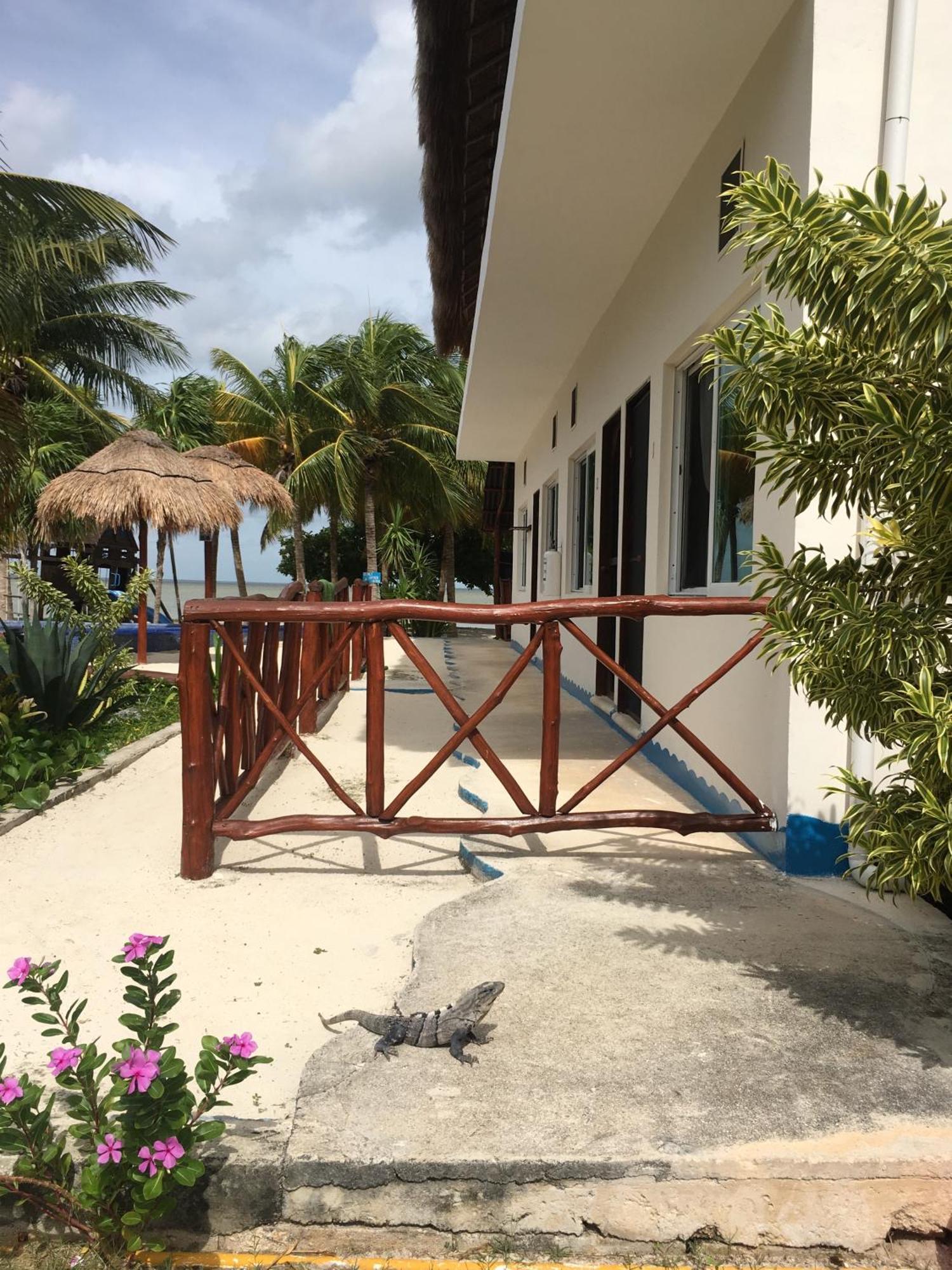 Ikarus Costa Mujeres Eco Lodge Sunset View Cancún Zewnętrze zdjęcie
