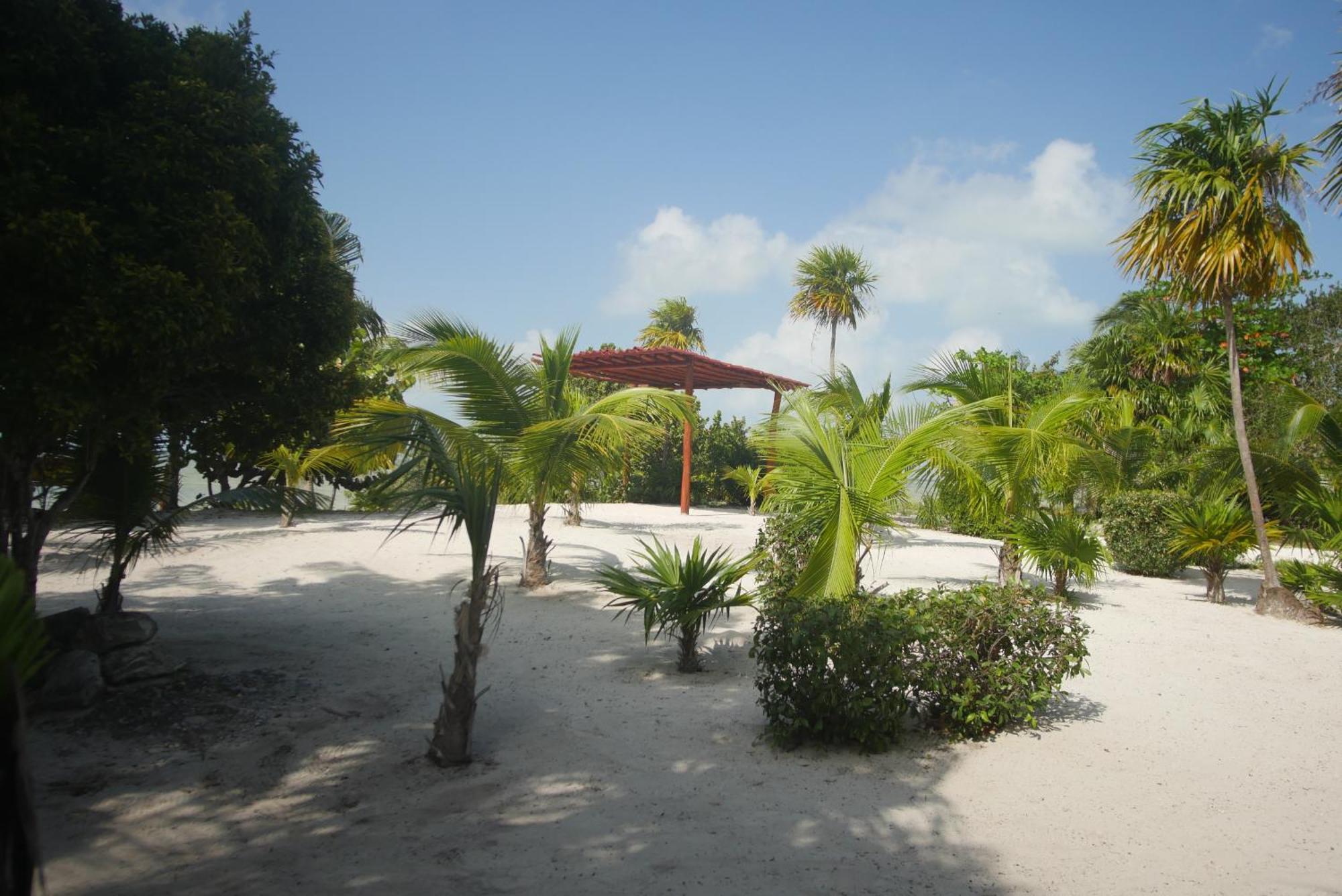 Ikarus Costa Mujeres Eco Lodge Sunset View Cancún Zewnętrze zdjęcie